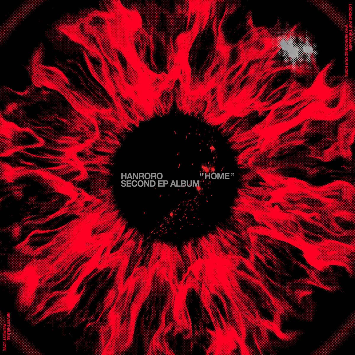 한로로 - 집 cover